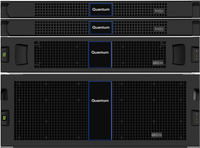 SSNSE-SFLD-GL10