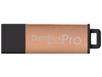 Centon USB 2.0 DATASTICK PRO (ROSE GOLD - S1-U2P30-64G