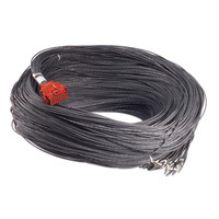 APC Battery Management Harness - 100Ft - AP9927