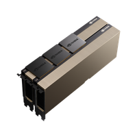 NVIDIA NVIDIA A100 PCIe 80GB GPU