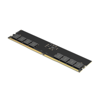 LD5DU016G-B4800GSST