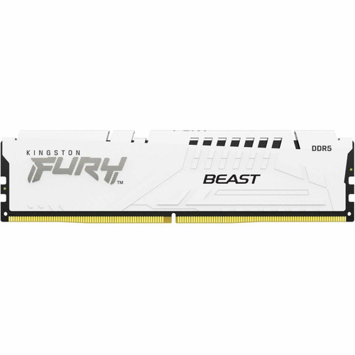 Kingston FURY Beast 16GB DDR5 SDRAM Memory Module - KF556C36BWEA-16