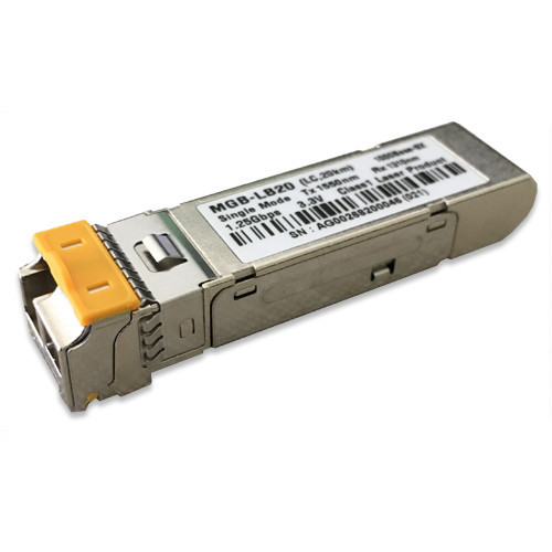 MGB-LB20-DNA