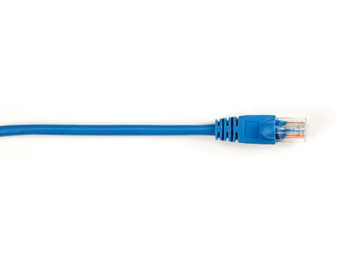 CAT5EPC-002-BL