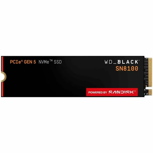 WDS100T1X0M-00CMT0PK