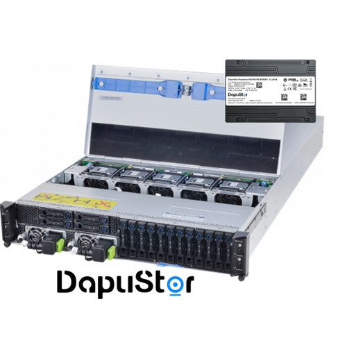 DapuStor DAPUSTOR ROEALSEN5 S5Z CONFIGURATOR Rack Server