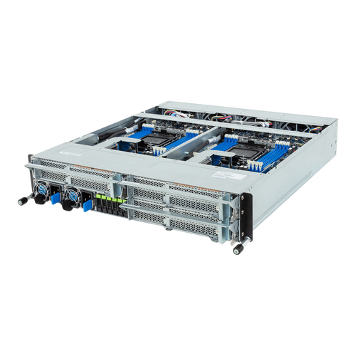 H223-S10-AAP1