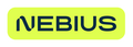 NEBIUS NV L40S PCIE/INTEL IL. GPU