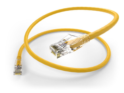 Extreme Pwr Cordintl10ac14c13st - 10136