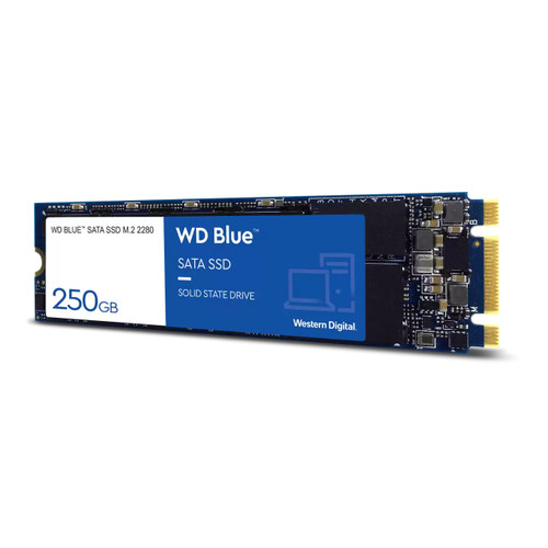 WDS250G2B0B-00YS70