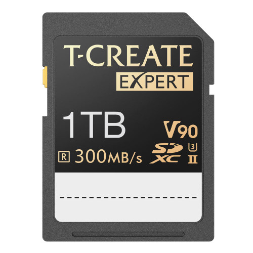 TTCSDX1TIIV9001