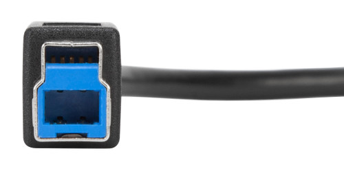Targus 1-Meter USB-CTO USB-B 10Gbps Cable Black - ACC924USX