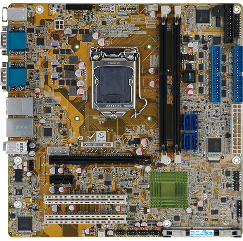 IMB-H810