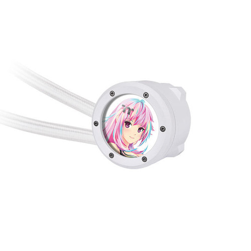 CL-W428-PL14SW-A