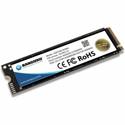 KSED300-NVME-1T
