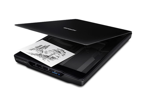 Epson Perfection V19 II Flatbed/Film Scanner - 4800 dpi Optical - B11B267201