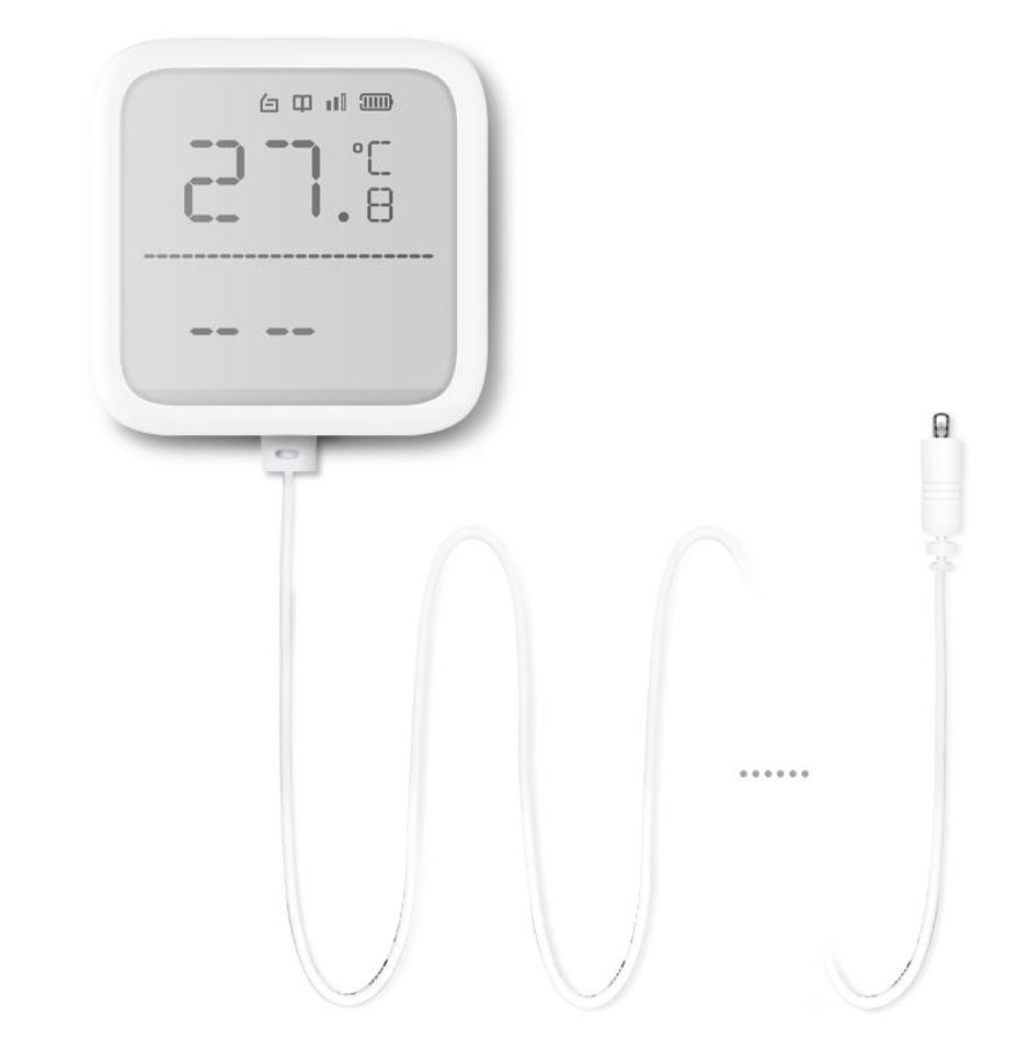 DS-PDTPH-E-WE DS-PDTPH-E-WE