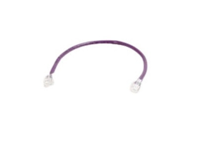 Legrand Cat.6 Network Cable - 6" Category 6 Network Cable for Network Device - CM - Orange - 566-140-6IN