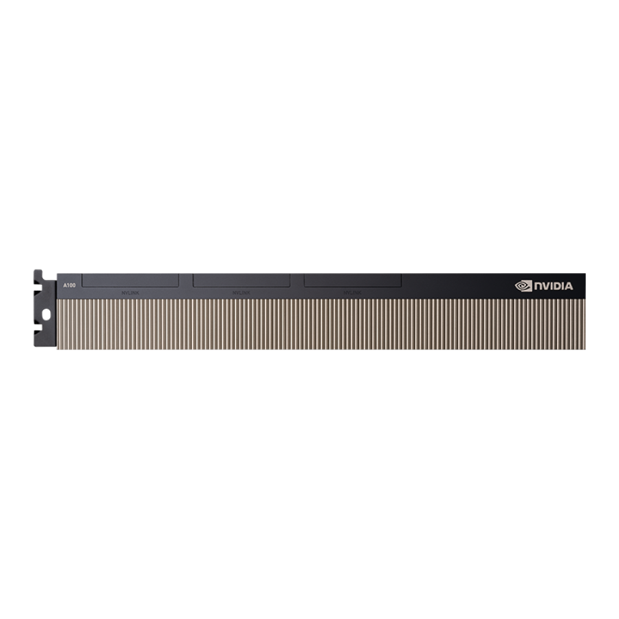 NVIDIA NVIDIA A100 PCIe 80GB GPU