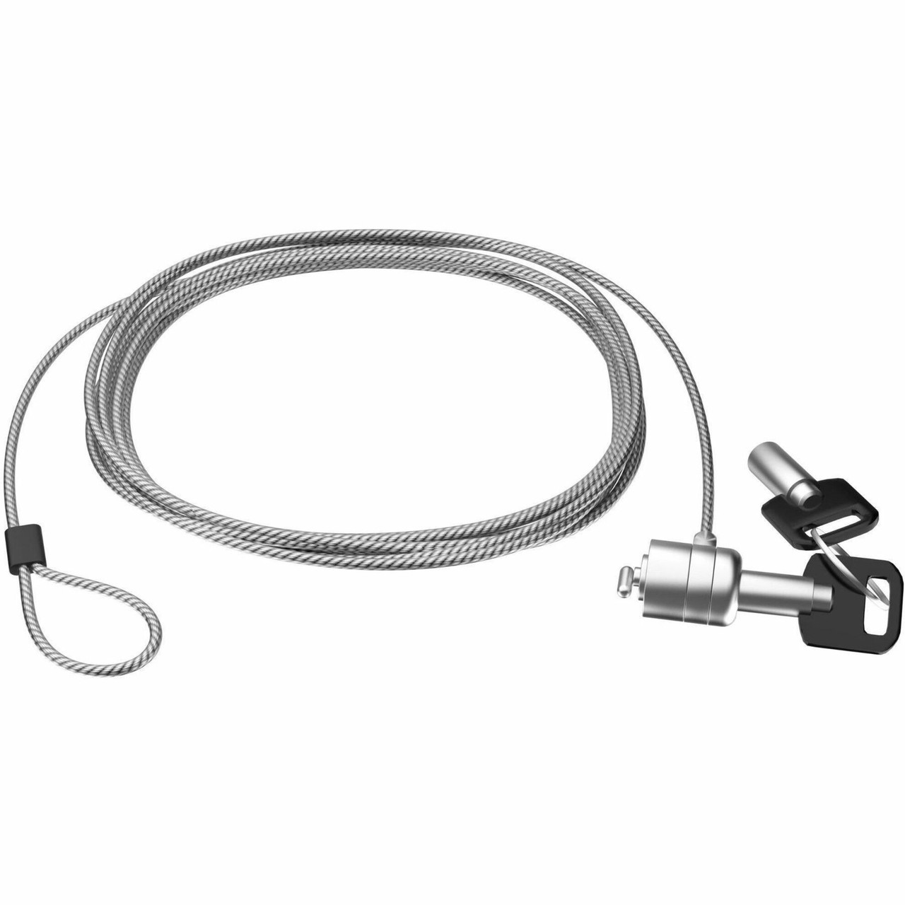 CTA Digital 10ft Cable with Lock and Master Key - ADD-CALOCK3M
