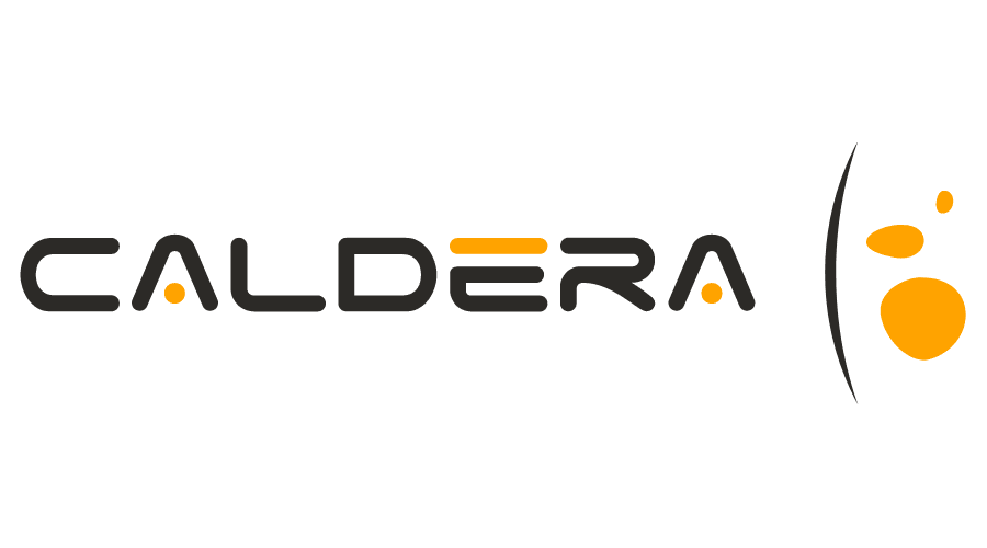 CALDERA Contact support, response within 24h, no remote control / ticket for max 1h duration PN06019150000