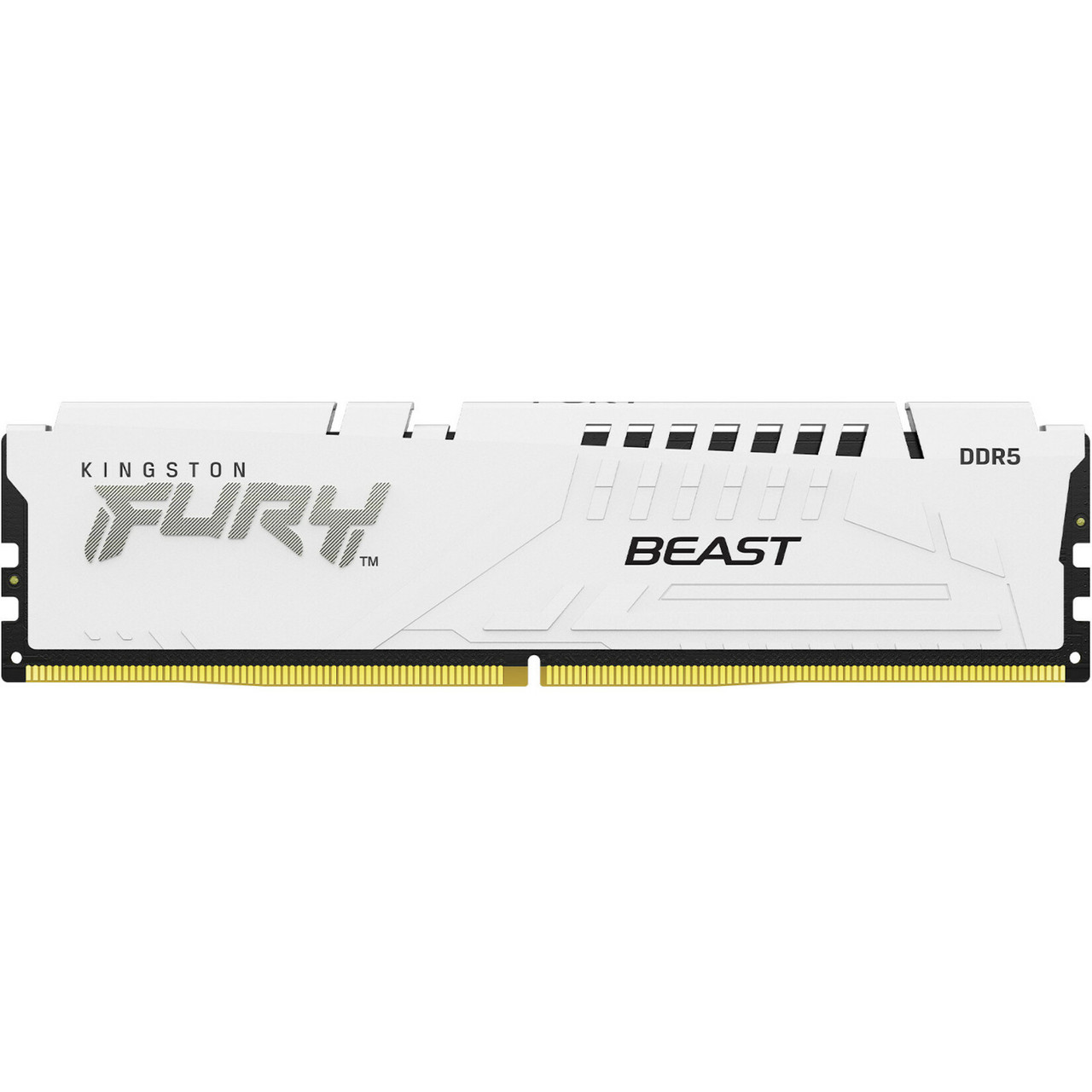 Kingston FURY Beast 32GB DDR5 SDRAM Memory Module - KF560C36BWE-32