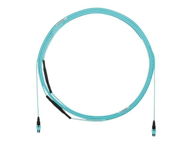 Panduit QuickNet - Trunk cable - PanMPO multi-mode (F) molded transition with 1m breakout to PanMPO multi-mode (F) molded transition with 1m breakout - 43 m - 0.2 in - fiber optic - OM5+ - indoor - lime green - FWTYL7575KNM043 Panduit QuickNet - Trunk cable - PanMPO multi-mode (F) molded transition with 1m breakout to PanMPO multi-mode (F) molded transition with 1m breakout - 43 m - 0.2 in - fiber optic - OM5+ - indoor - lime green - FWTYL7575KNM043