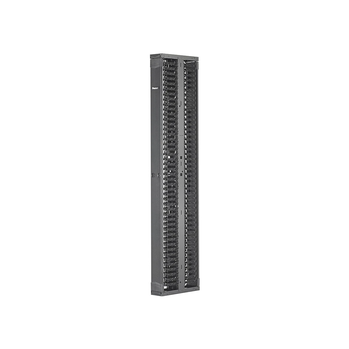 Panduit PatchRunner 2 Dual Sided Manager - Rack cable management panel - black - 42U - PR2VD0679