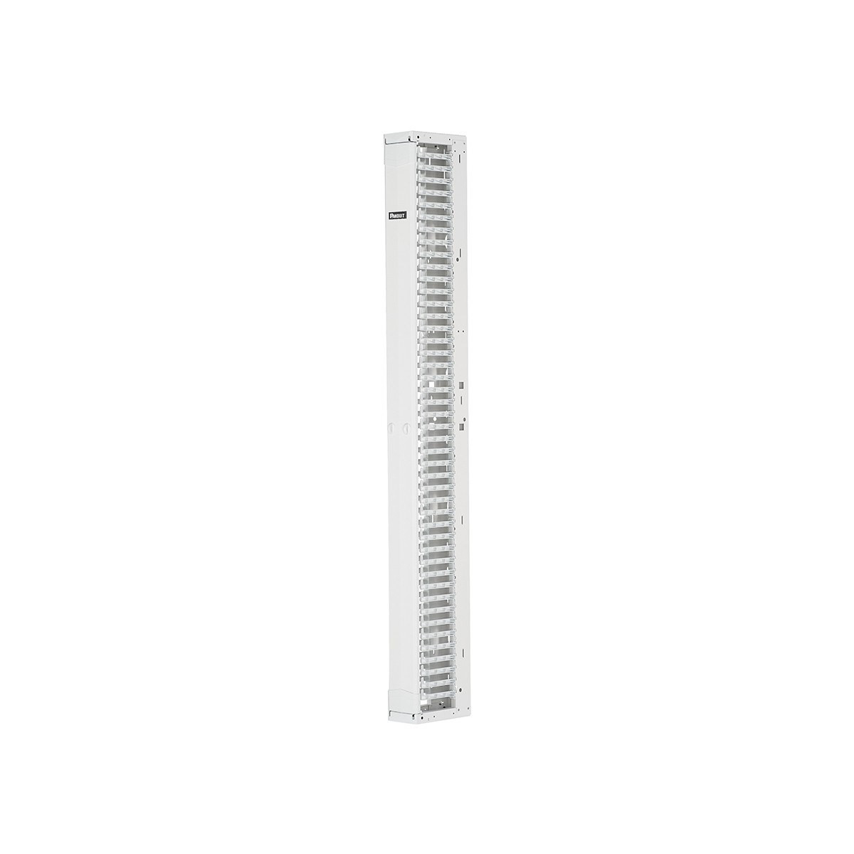 Panduit PatchRunner 2 - Rack cable management panel (vertical) - white - 52U - PR2VFD0696WH