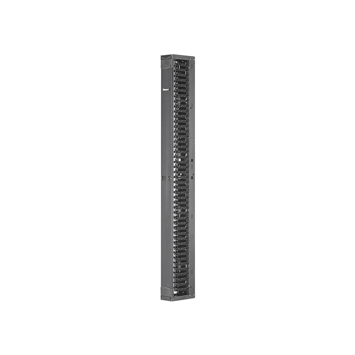 Panduit PatchRunner 2 - Rack cable management panel (vertical) - black - 42U - PR2VFD0679