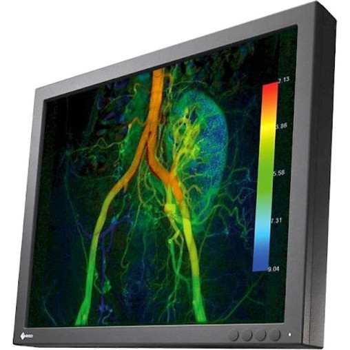 EIZO CuratOR EX190-S 19" SXGA LED LCD Monitor - 5:4 - Black - 19" Class - In-plane Switching (IPS) Technology - 1280 x 1024 - 16.77 Million Colors - 700 Nit - 14 ms - 75 Hz Refresh Rate - DVI - DisplayPort - EX190-S