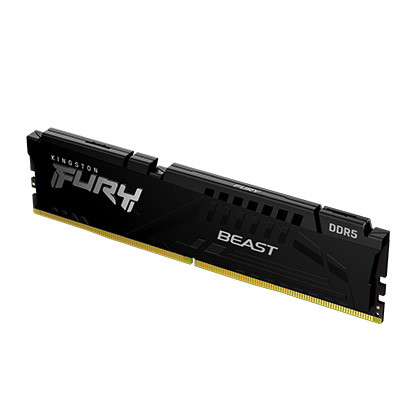 Kingston FURY Beast 16GB DDR5 SDRAM Memory Module - For Motherboard - 16 GB (1 x 16GB) - DDR5-5600/PC5-44800 DDR5 SDRAM - 5600 MHz Single-rank Memory - CL36 - 1.25 V - Non-ECC - Unbuffered - 288-pin - DIMM - Lifetime Warranty - KF556C36BBE-16