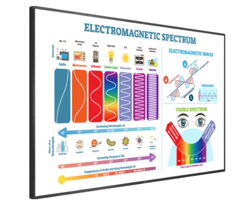 Sharp Electronics 4T-B80CT1U 80 Inch AQUOS Board 4K-Ultra High Definition LCD Display