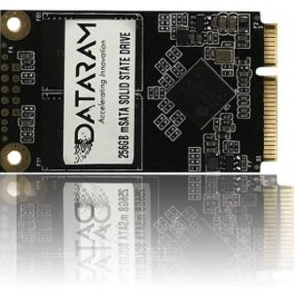 DATARAM SSD-MSATA-256G 256 GB Solid State Drive - mSATA Internal - PCI Express NVMe - Notebook, Industrial PC, Tablet Device Supported - SSD-MSATA-256G