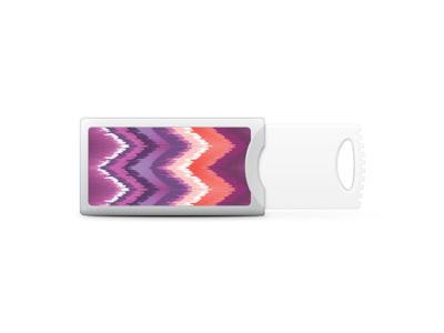 Centon OTM Classic Prints Push USB Flash Drive, S1-U2P1BLD03-8G