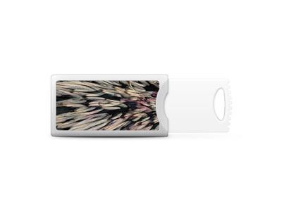 Centon OTM Hipster Prints Push USB Flash Drive, Feather Wings - 8GB S1-U2P1FTR04-8G