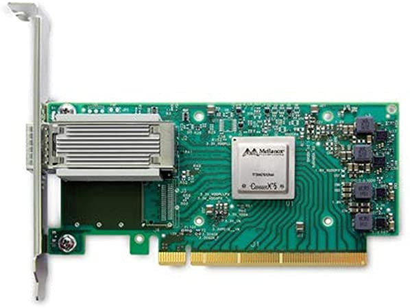 Cisco 100Gigabit Ethernet Card - UCSC-P-M5D100GF