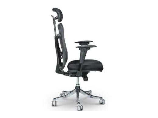 Mooreco Ergo Ex Ergonomic Office Chair - 34434