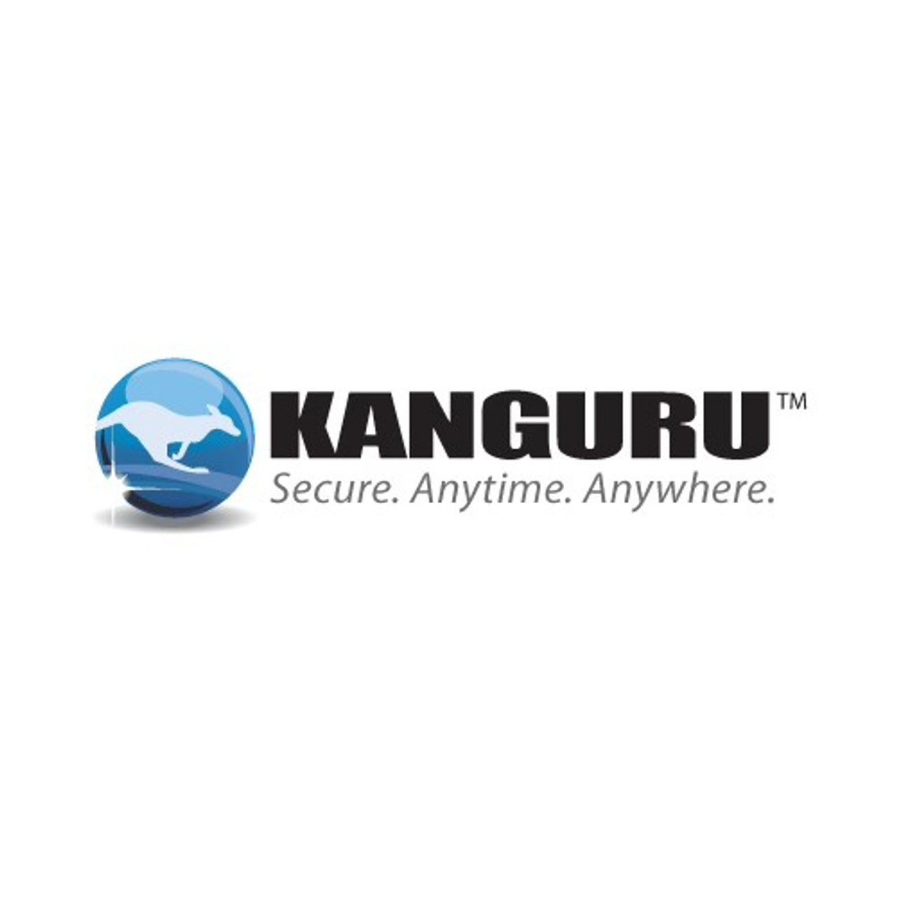 Kanguru Diskashur2 Ssd 256gb - IS-DA2-256-SSD-256-R