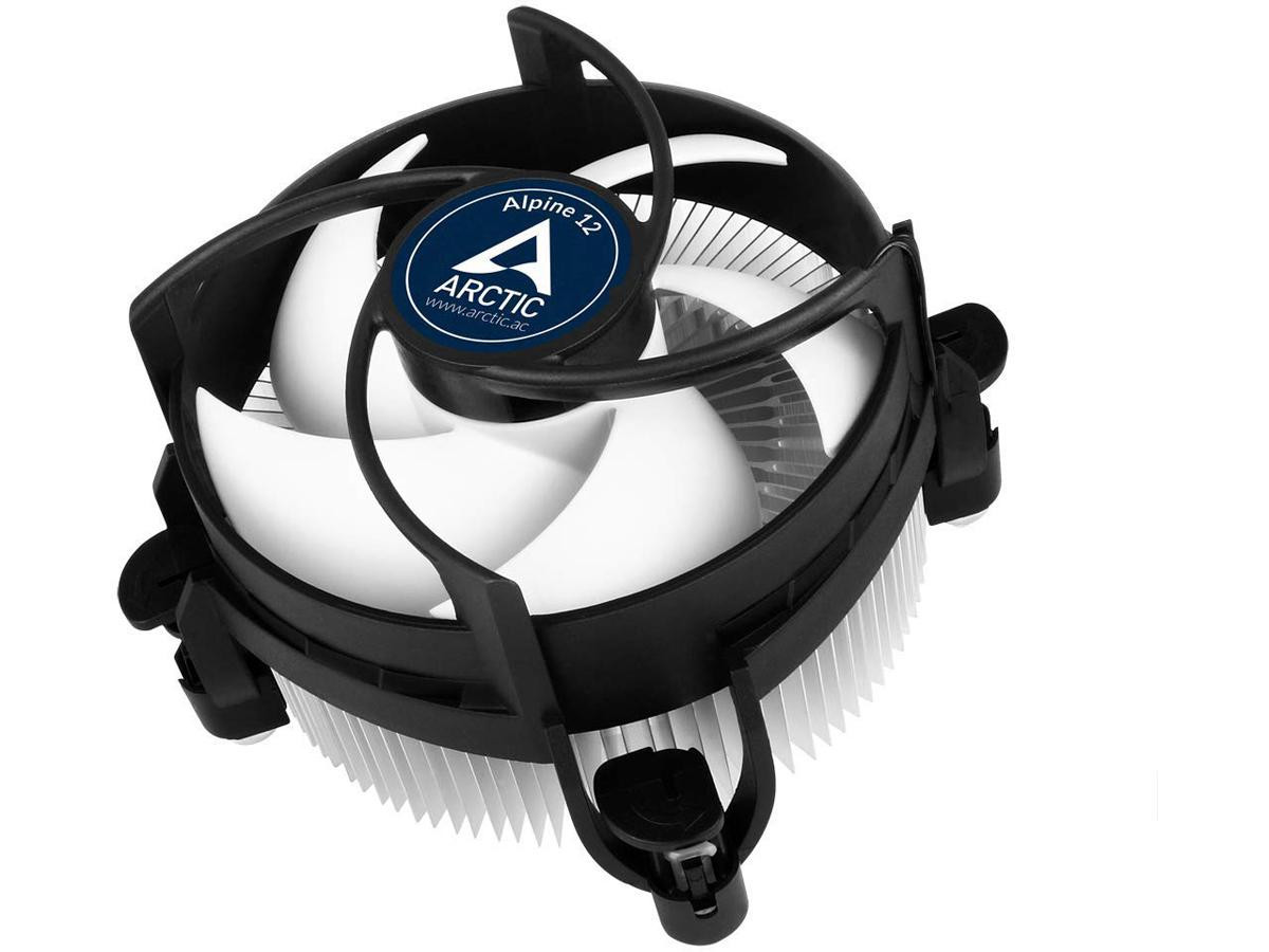 Arctic Alpine 12 - ACALP00027A