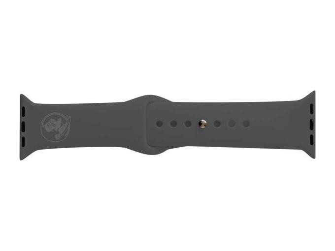 Centon Florida State University V2-Apple Watch Wrist Band, 42-44mm, Charcoal Matte, Classic V1 - OC-FSU2-ABAB00A