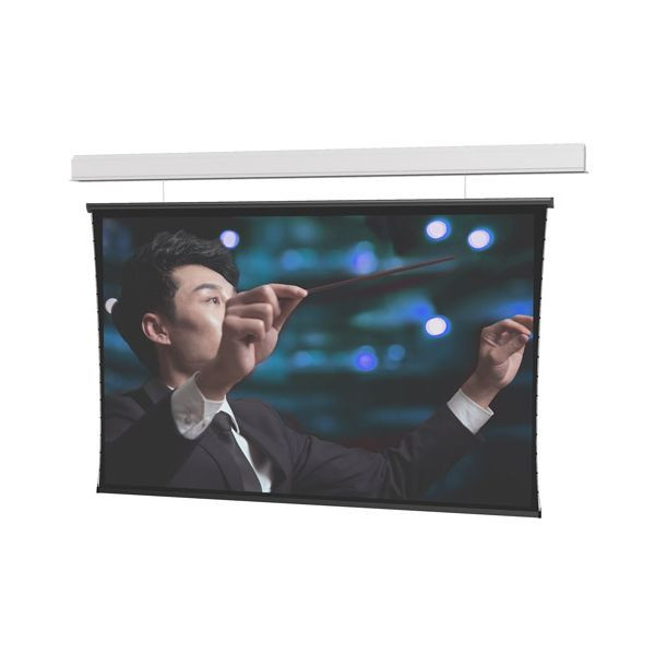 Da-Lite 21816L - 87" x 139" Ceiling Recessed Electric Screen, Wide (16:10), 87" x 139" or 164" Diagonal, HD Progressive 1.1, Standard Black Drop, Slot, Standard 120V (60Hz), Standard Low Voltage Control (LVC), Complete Screen - 21816L