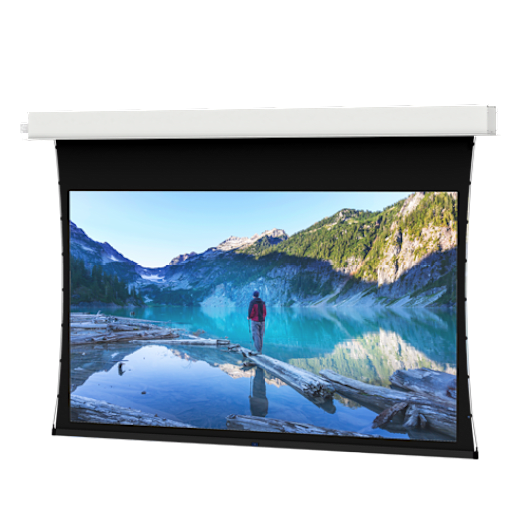 Da-Lite Professional Tensioned Advantage Ceiling Recessed Electric Screen - 249'' (White Case) - 28423C