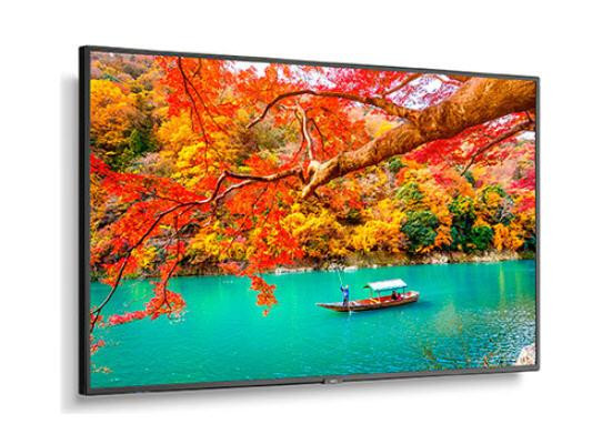 NEC Multisync Ma431 With Installed Pcap Touchscreen - MA431-PT