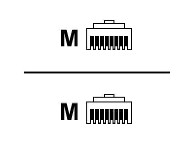 Raritan 10 Cat5e RJ-45(M) cable to connect Dominion SX 2 to Raritan PX or RPC rack PDUs - CSCSPCS-10