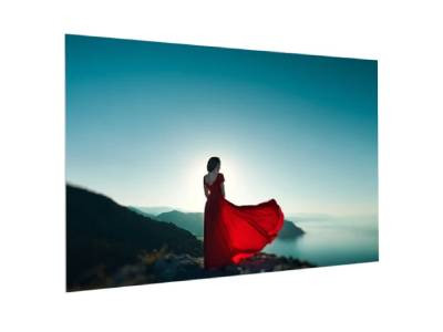 Da-Lite Projection Screen - Completely Border-less And Low-profile Fixed Frame Projection Screen That Enables The Entire Surface To Be Used For Projection. The Fullvision Is Available With Hd Progressive Surfaces - FC11C65X116