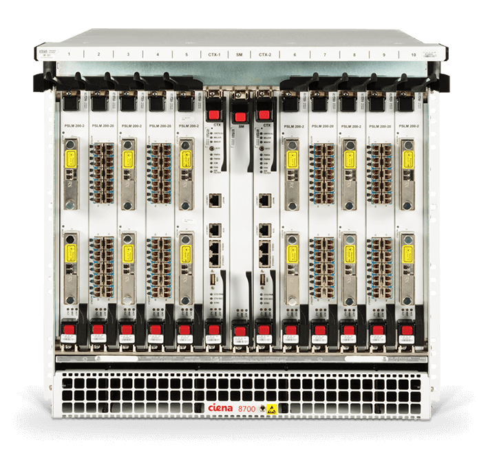 Ciena 8700 Packetwave Platform