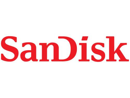 Sandisk High Endurance Usd, 100/40mb/s,u3,v30,c10,rpd1, Card+adapter, n/jc, 4x6 Blister,am - SDSQQNR-512G-AN6IA
