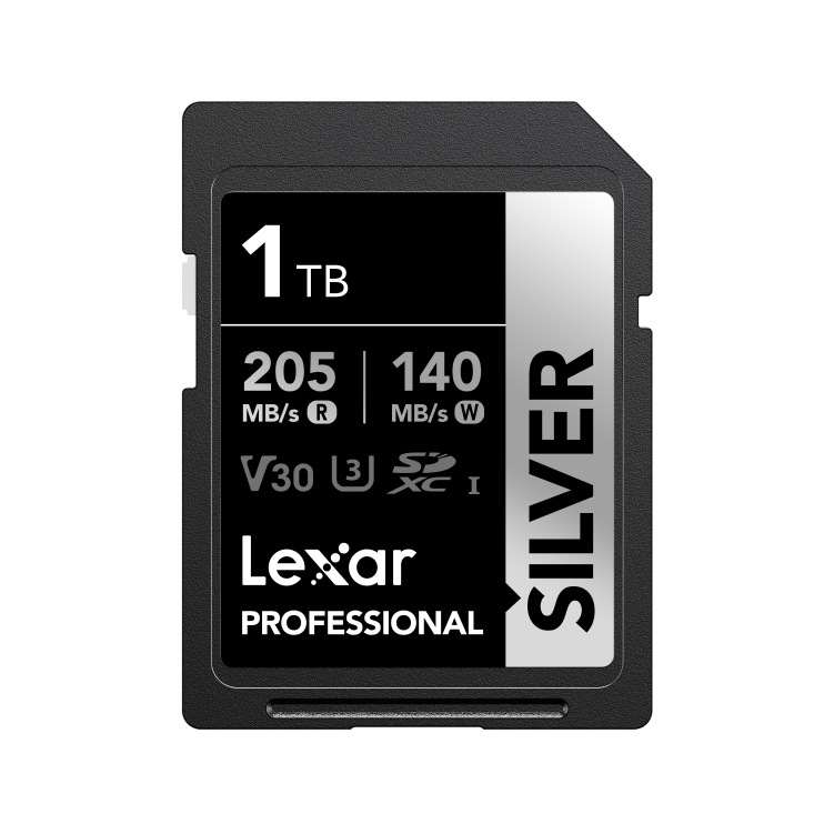 Lexar Professional Silver SDXC UHS-I Card, 1TB - LSDSILV001T-BNNNU