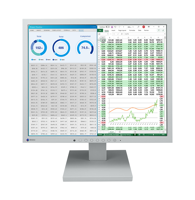 EIZO FlexScan S1734 17.0" Color LCD Monitor